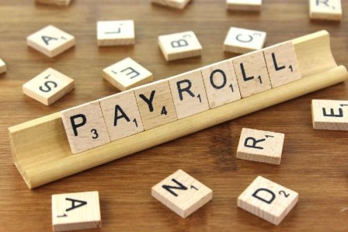 Payroll Software Development Services