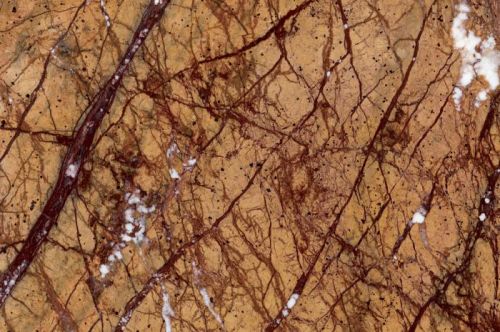 Rain Forest Golden Marble