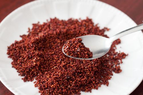 Organic Ragi Seeds, Color : Red