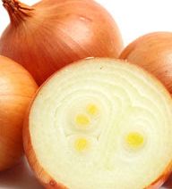 Organic Fresh Onion