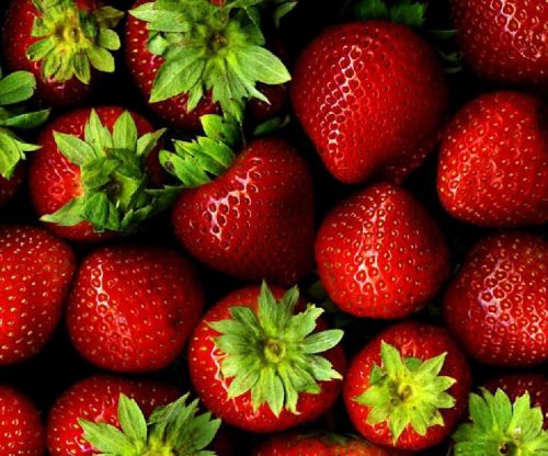 Fresh Strawberry