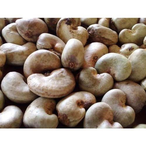 Raw Cashew Nuts, Packaging Type : Pouch, Pp Bag