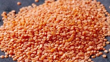 Organic Red Lentils, Packaging Type : Packed In Plastic Bags