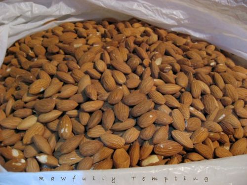 Almond Nuts, Application : Milk, Sweets