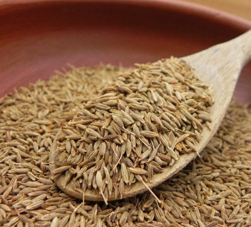 100% Natural BlCumin Extract/Black Cumin Extract Powder/Black Cumin Seed Powder