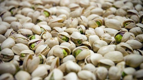 Iran Pistachio Nuts