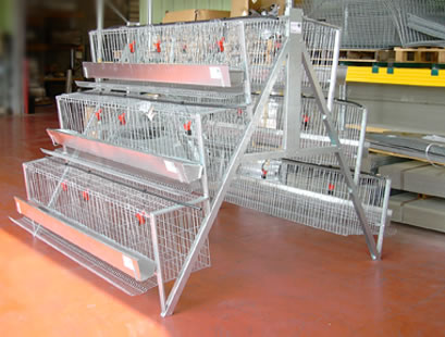 Quality Chicken Layer Cage