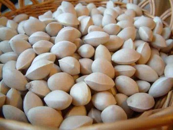 Raw Ginkgo Nuts