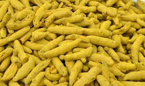 Natural Turmeric Finger, Color : Yellow