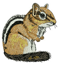 Embroidery Digitizing Services