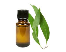 Clove Leaf Oil