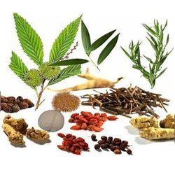 Herbal Raw Material