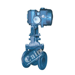 Motorized Gate Valve