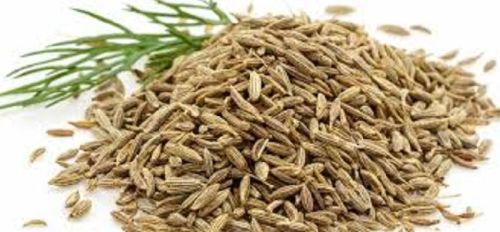 Cumin Powder