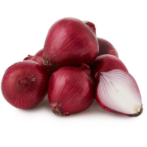 Organic Fresh Red Onion, Packaging Type : Sack Bag