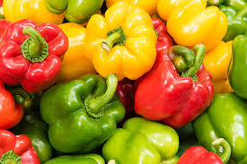 Fresh Capsicum, Country of Origin : India