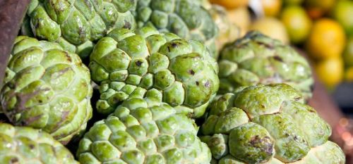 Fresh Custard Apple, Color : Green