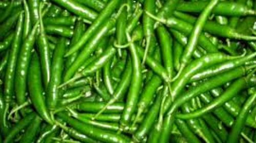 Fresh Green Chili