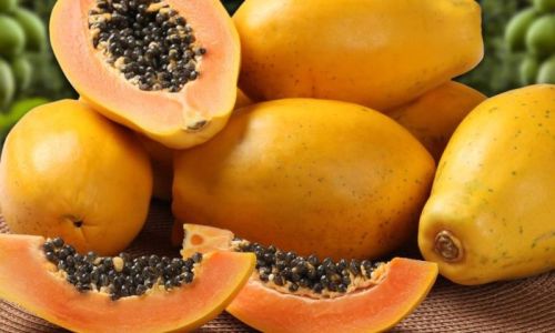 Fresh papaya, Cultivation Type : Organic
