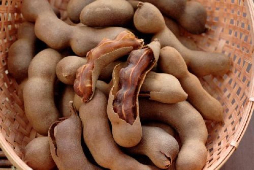 Fresh Tamarind, Color : Brown