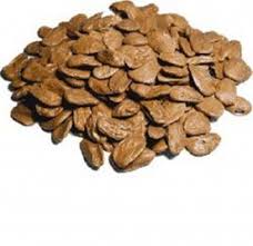 Akuamma Seed, Packaging Type : brownish