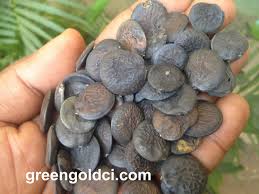 Griffonia Simplicifolia Seeds, Packaging Type : dark green