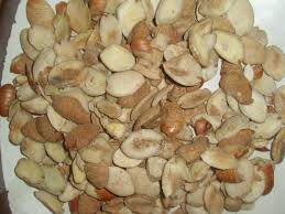 Irvingia Gabonensis Seed, Packaging Type : 50KG, Form : RAW