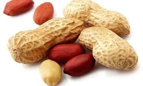 Groundnut