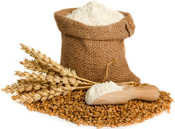 Ukraine Wheat Flour