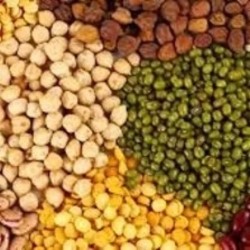 Pulses, Country of Origin : India