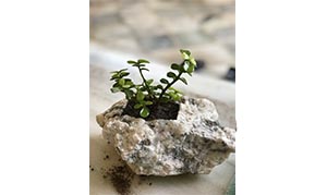 Sandstone Handicrafts