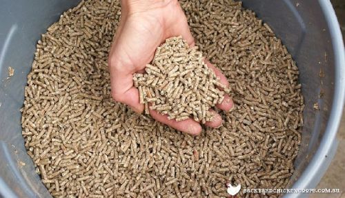 Chicken Feed Pellets