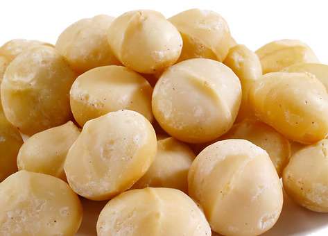 Organic Macadamia Nuts, Packaging Size : Packed in 10 Kgs