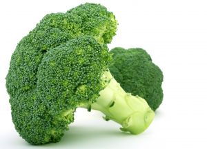 Broccoli, Shelf Life : 10 Days