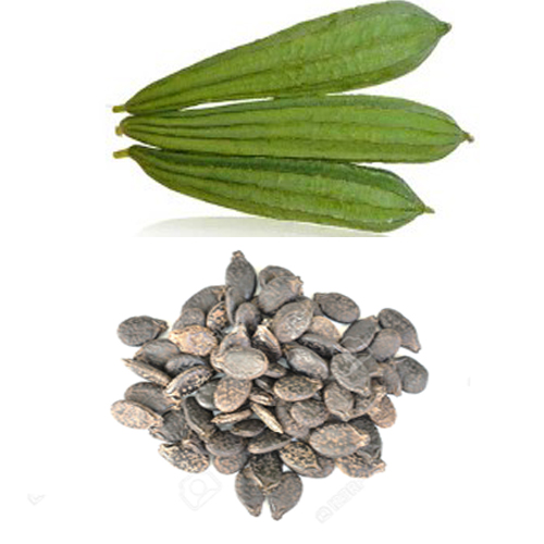 Ridge Gourd Seeds