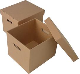 Archive Storage Boxes