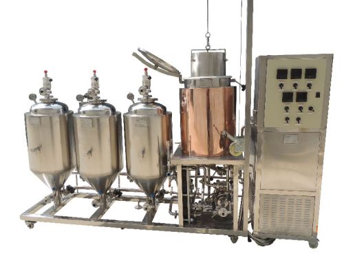 Stainless Steel 304 50L Micro Beer Equipment, Brand Name : ZUNHUANG