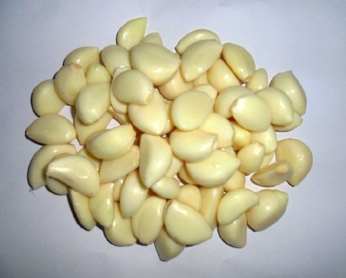 Fresh Peeled Garlic