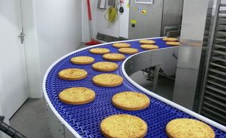 Modular Belt Conveyor System