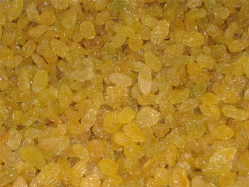 Common Golden Raisins Jumbo Raisins, Brand Name : Ndingi Organic