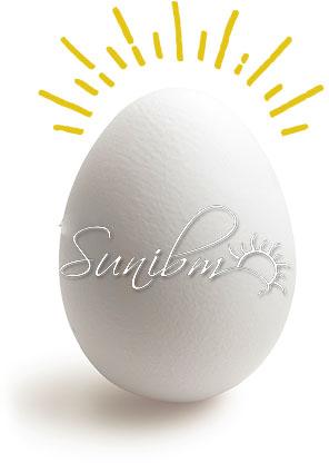 Egg