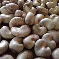 Raw Cashew Nuts for Food
