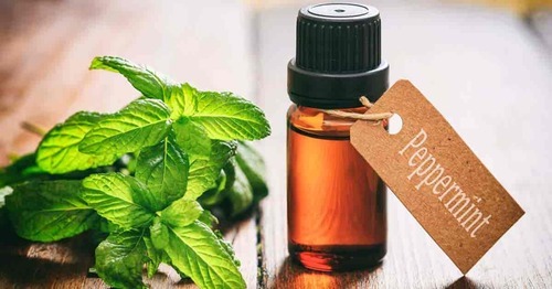 Peppermint Essential Oil