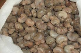 Cashew nuts, Color : White, Creamy