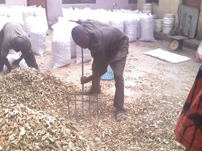 Dried Split Ginger Roots