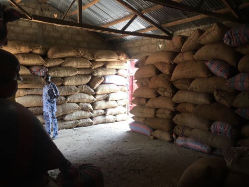 Dried Organic Raw Cashew Nuts, Grade : Premium