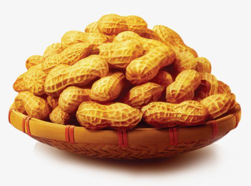 Groundnut, Grade : Export