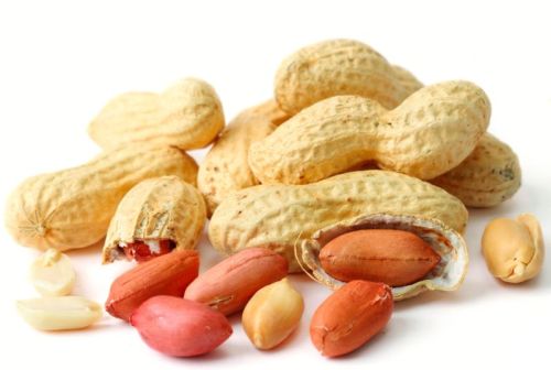 Organic Shelled Peanuts for Snack, Food