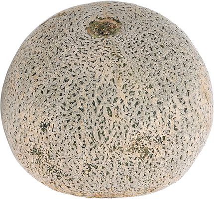 Organic Fresh Cantaloupe