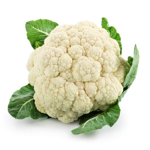 Organic Fresh Cauliflower, Packaging Type : Packed In Good Quality Boxes